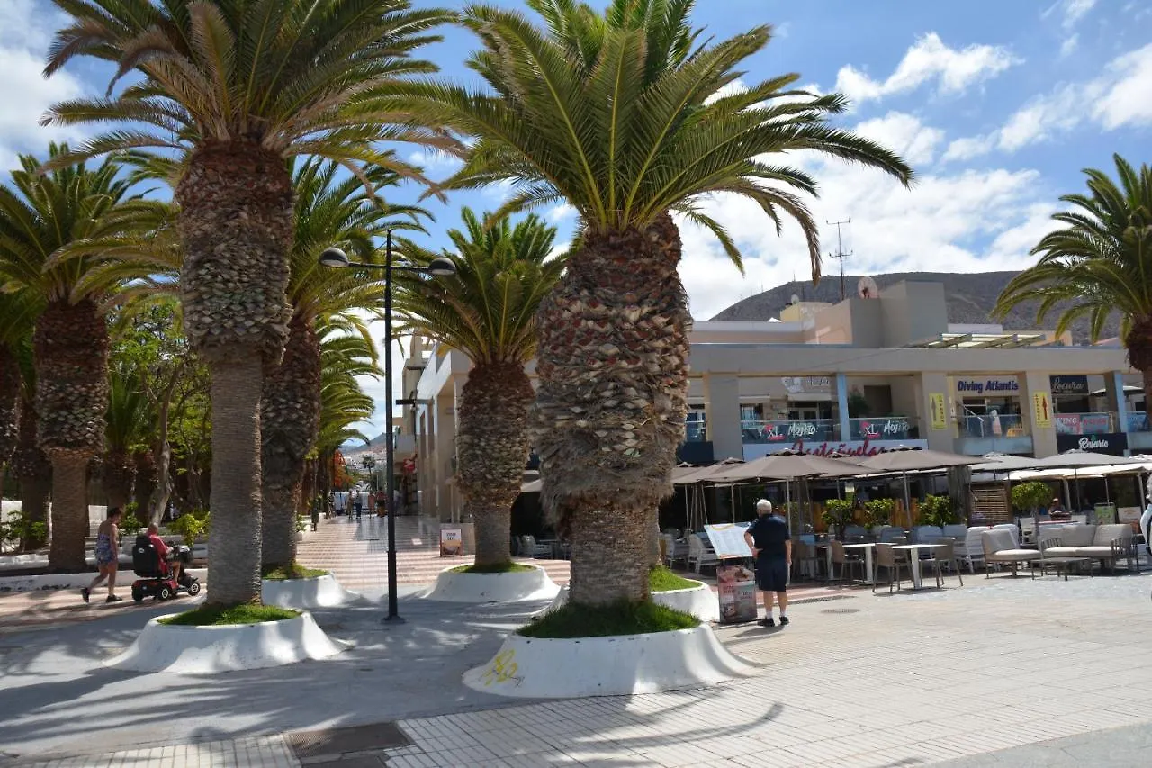 Apartamento Castle H 408 Los Cristianos   Los Cristianos (Tenerife)
